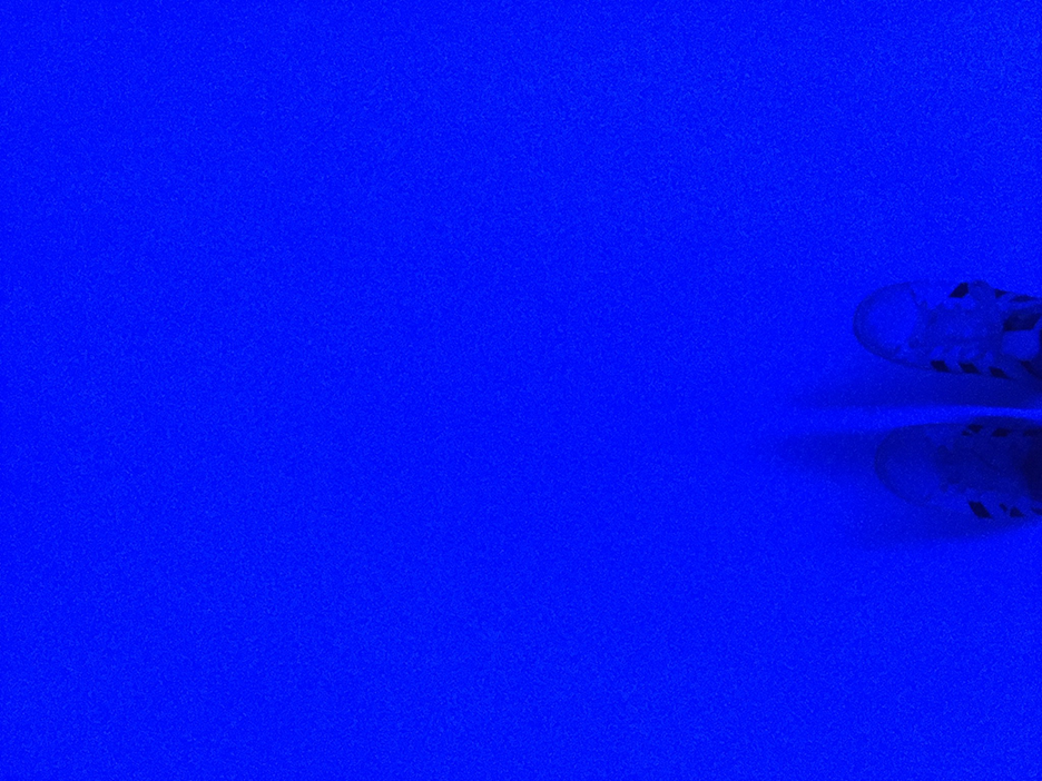 and-Blue Sued Shoes